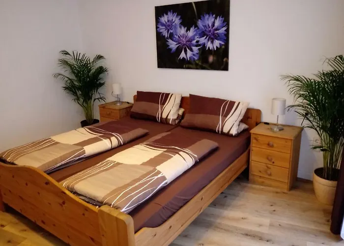 Chapeau-claque بيت ضيافة كوتشيم